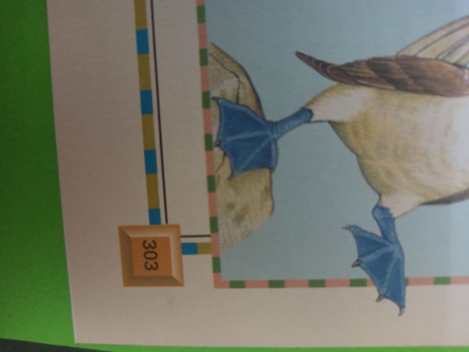 Большая энциклопедия животного мира.Новая.