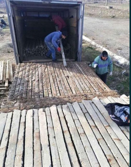 Spalieri de vie de gard din defisari