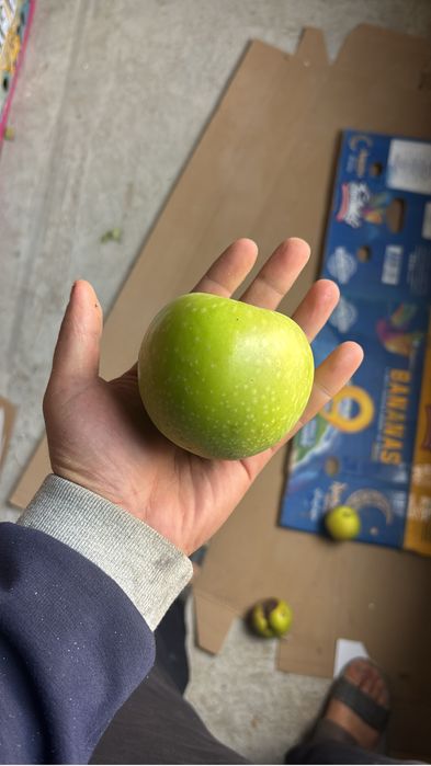 Алма Яблоки сатылады 250тг