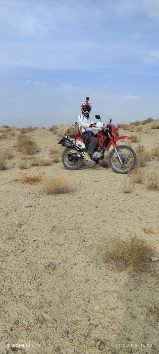 Matatsikl lifan endura