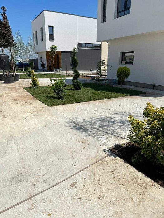 Plante ornamentale elegante ce aduc rafinament natural