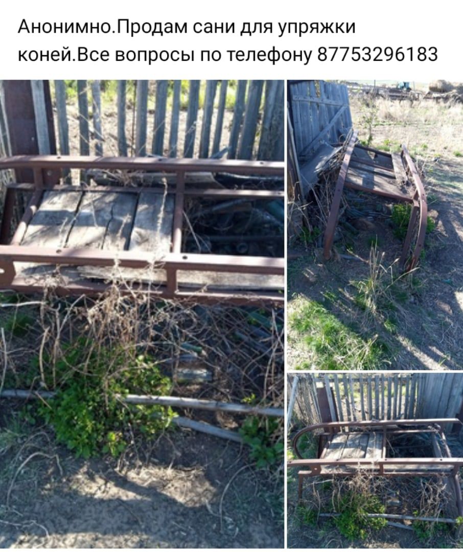 Продам сани для коней