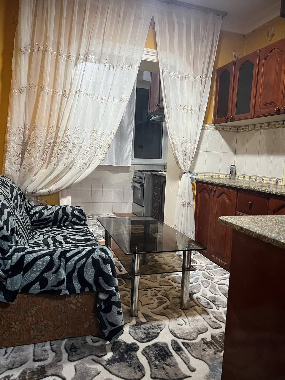 Sogdiana hamma sharoitlari bor