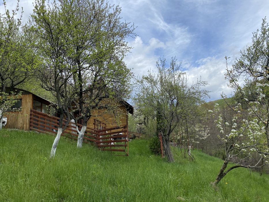 Vand ferma 1,6 ha livada pruni si faneata Valea Mare Pravat