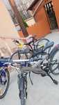 Biciclete stare f buna