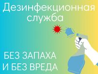 Обработка клопов уничтожение насекомых дезинфекция ташкент dezinfeksiy
