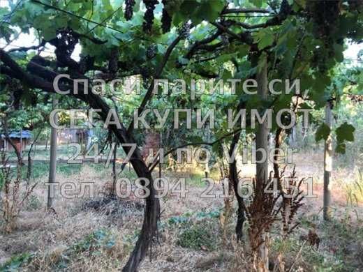 код 61604. Двуетажна тухлена къща 200м2 с двор 900м2 със стоп. сгради