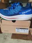Salamon spectur albastru