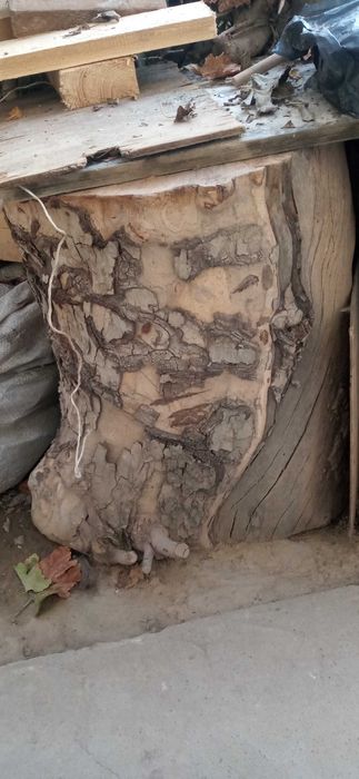 Kunda yogʻoch toʻsin