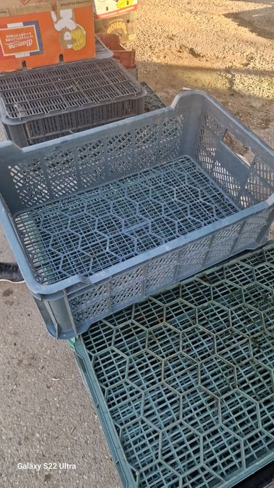 Lazi plastic  lădițe ambalaje