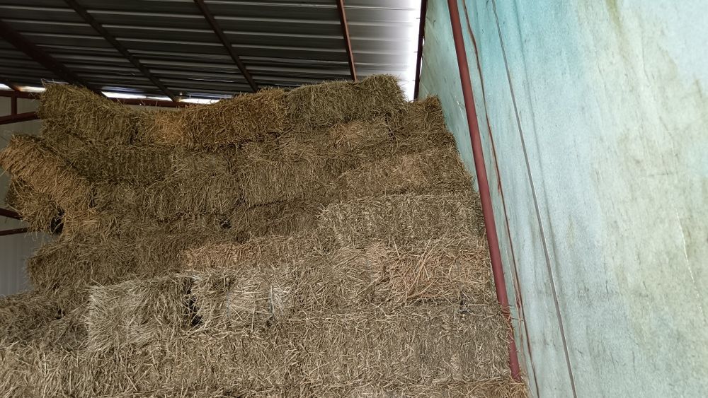 Vind grîu și baloți de paie fin și lucerna