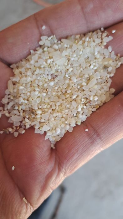 Сечка рисовая кормовая для собак, животных