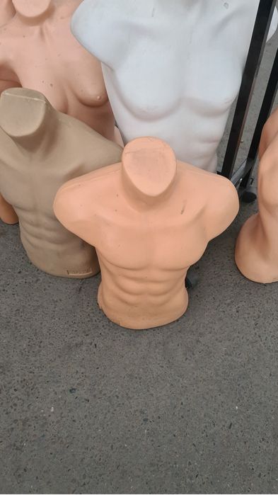 Манекены Мужской торс буу