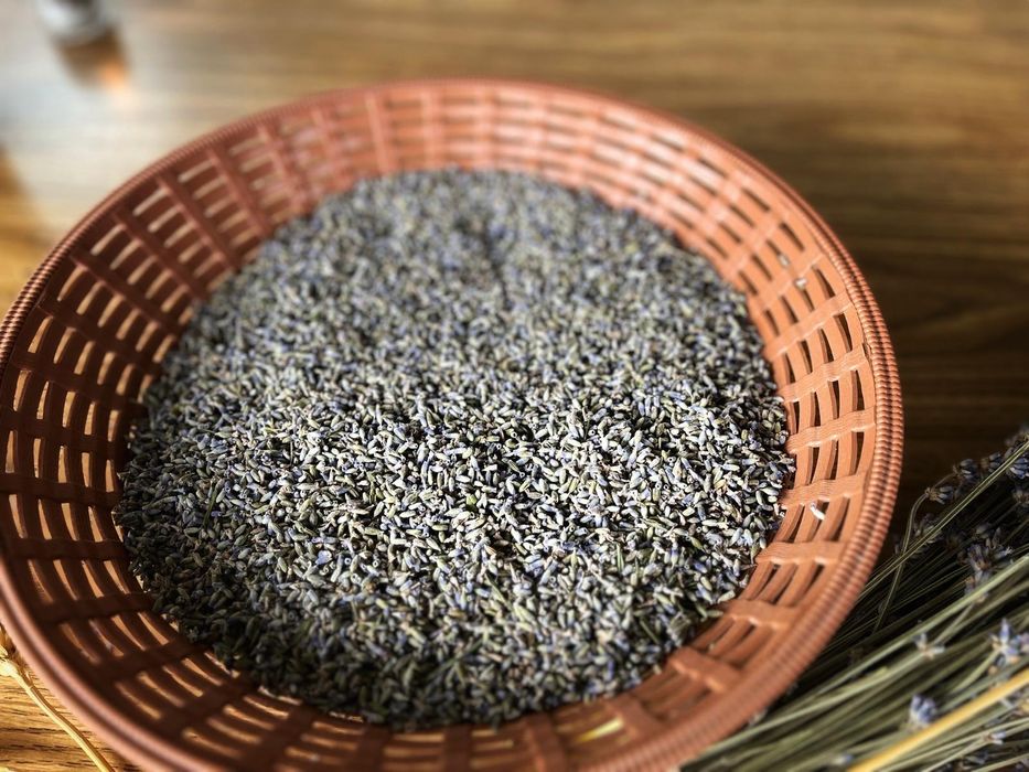 Vând floare uscata de lavanda,Ulei de lavanda