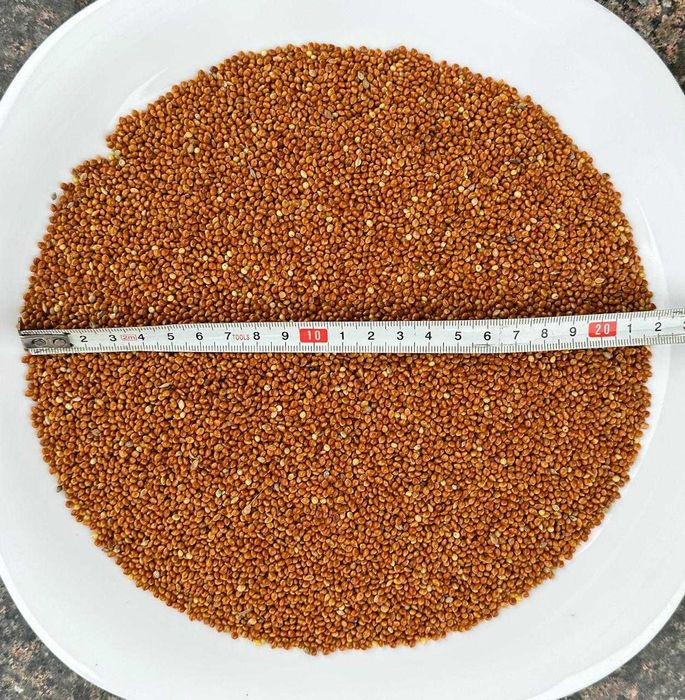 Mei galben, alb si rosu