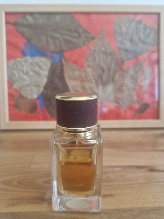 Dolce and Gabbana Velvet Sublime apa de parfum
