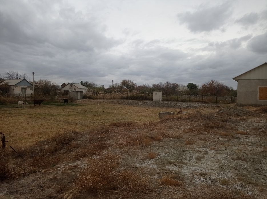 Дача маданият дачалари