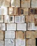 Meditații limba și literatura română