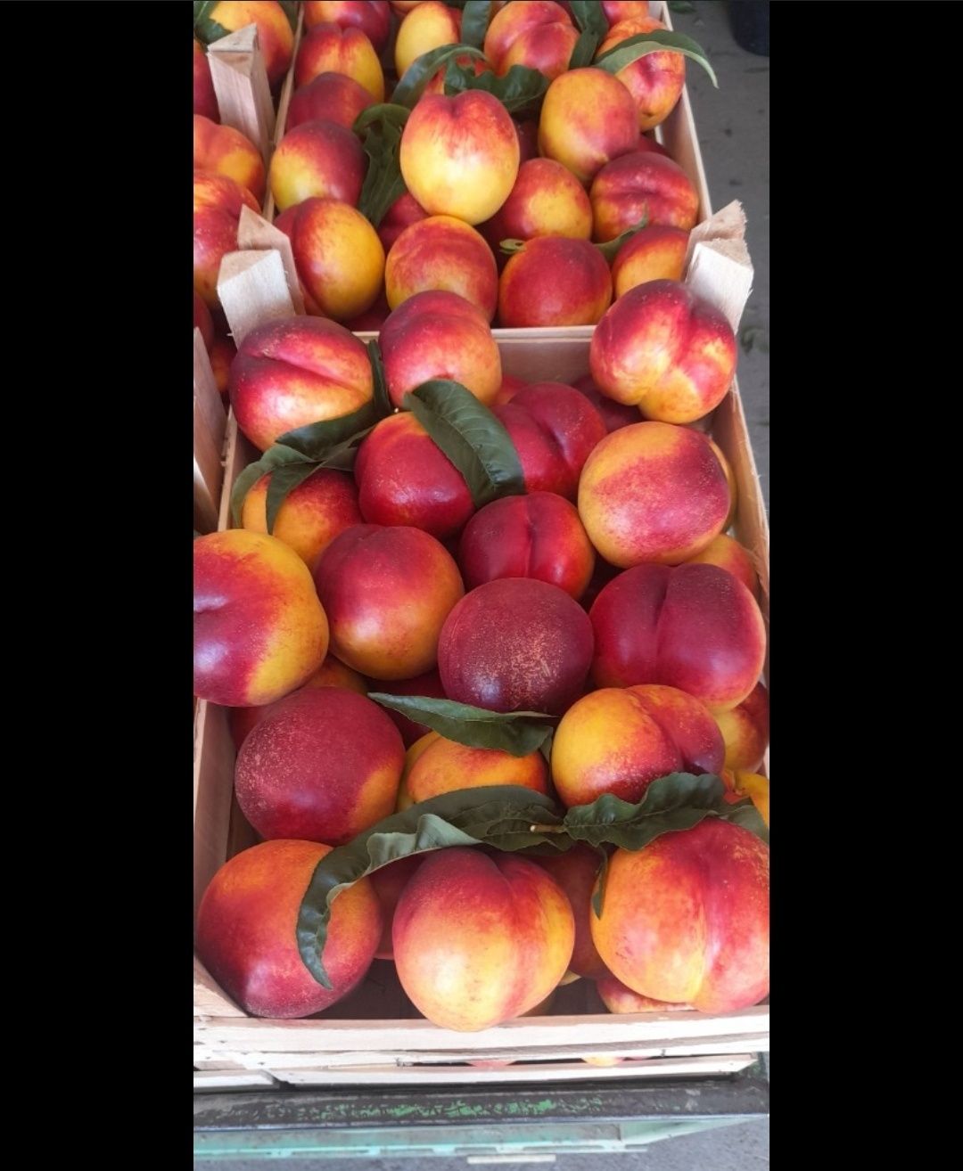 Vând nectarine și piersici pentru țuică