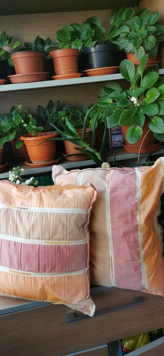 Cani cu mesaje pentru familie, prieteni, fantezie si perne decorative