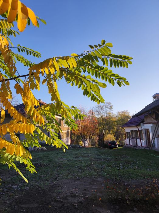 Două case cu mult teren