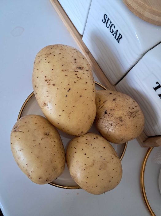 Продам Когалинскую картошку  белый