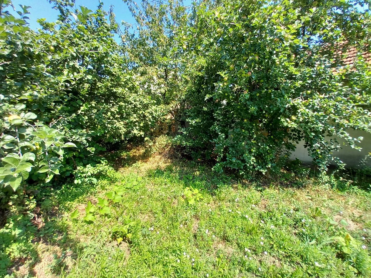 Продава се Парцел в Разград, Житница - 854 кв.м за 90 €/кв.м - Снимка #4