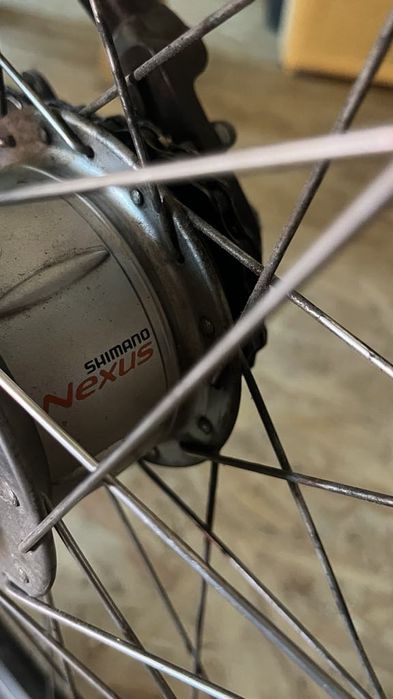 Vand bicicleta Pegasus