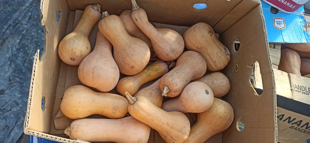 Тикви  за декорация