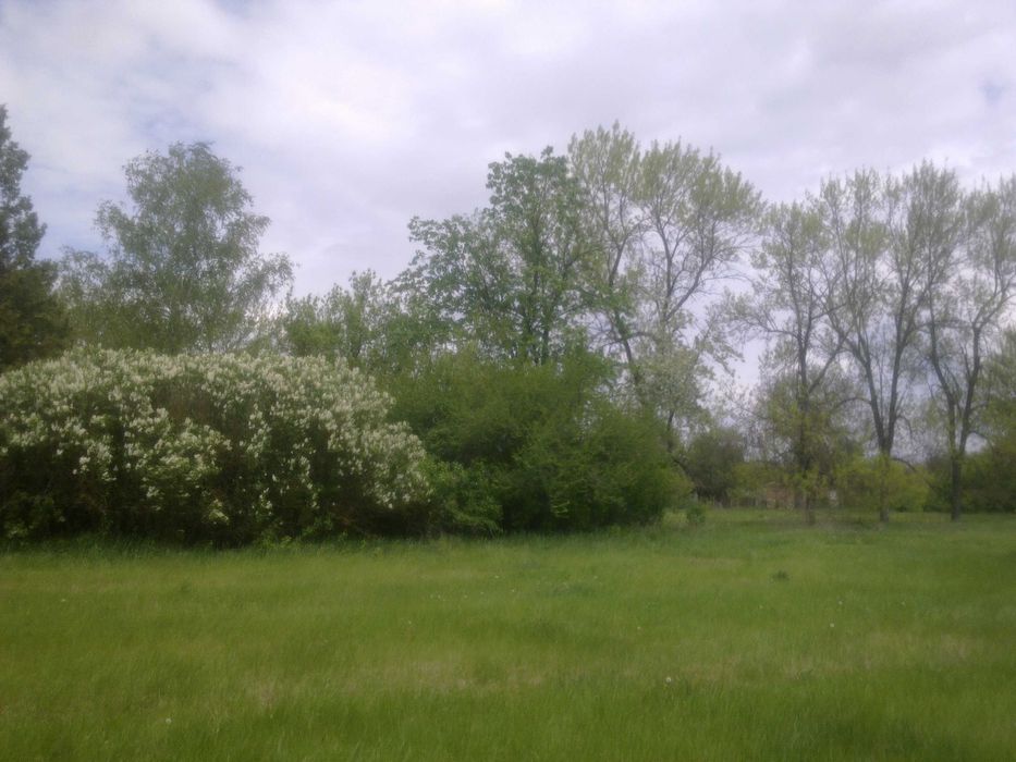 Продавам имот от 11 дка и сграда с РЗП 806 кв.м., в с. Метличина