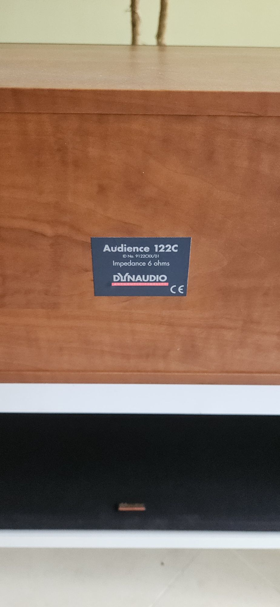 Dynaudio Audience 122C