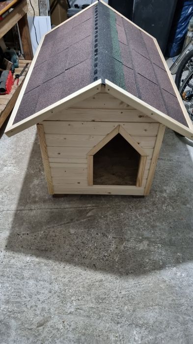 Cusca pentru caine izolata