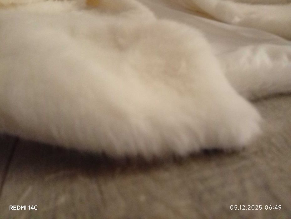 Чисто ново палто