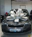 Skoda rapid 2020 года