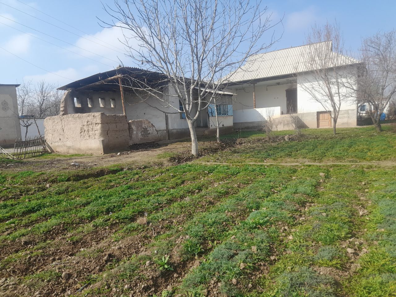 10 sotix hovli uylari bilan