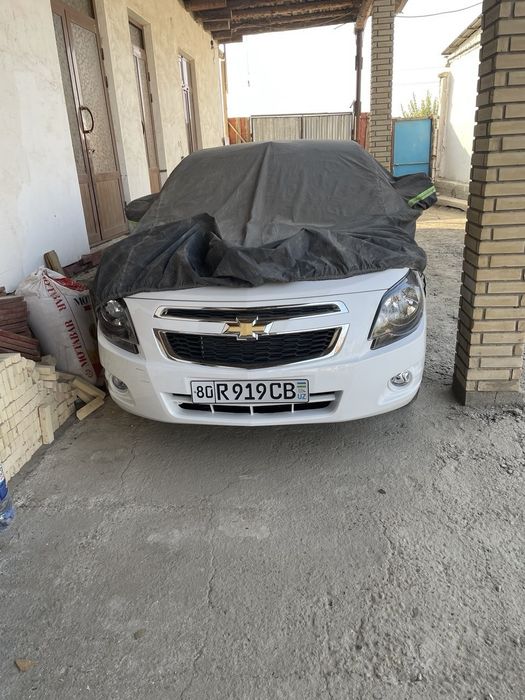 Coblt sotiladi 4 paditsiya