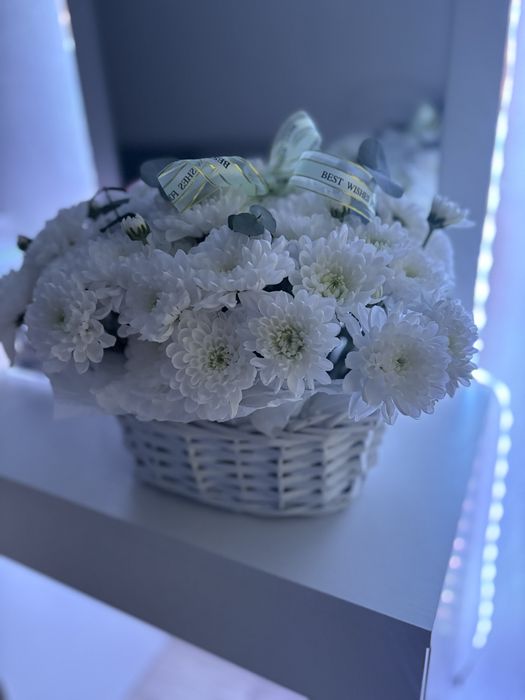 Свежый цветы,хризантема