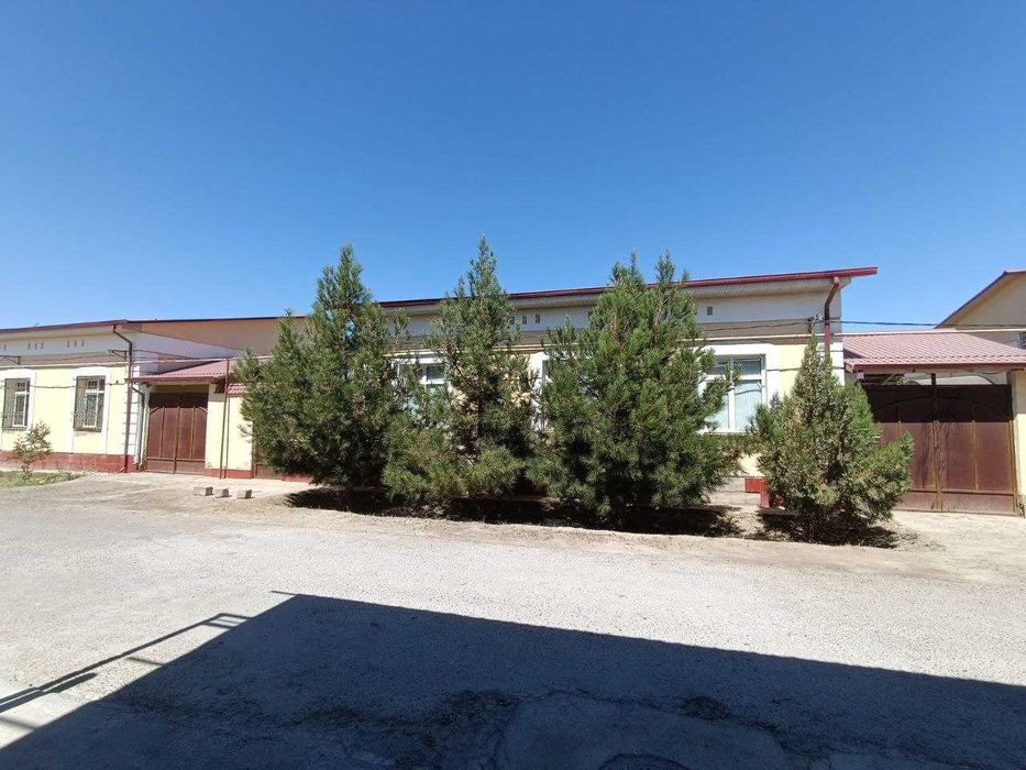 6 Sotixli kotej sotiladi