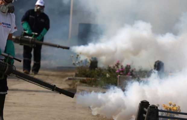 Ploșnițe/gândaci - Scăpa de acești dăunători nedoriți