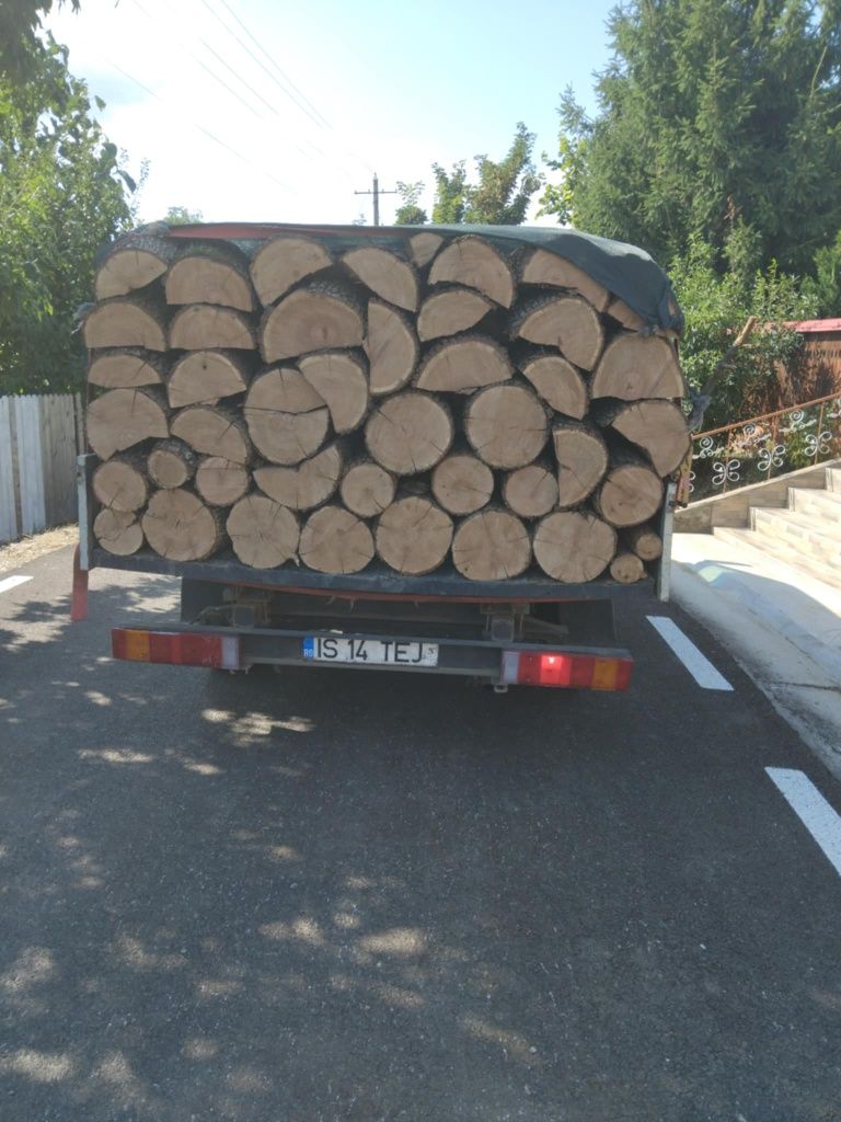 Vând lemne esență tare