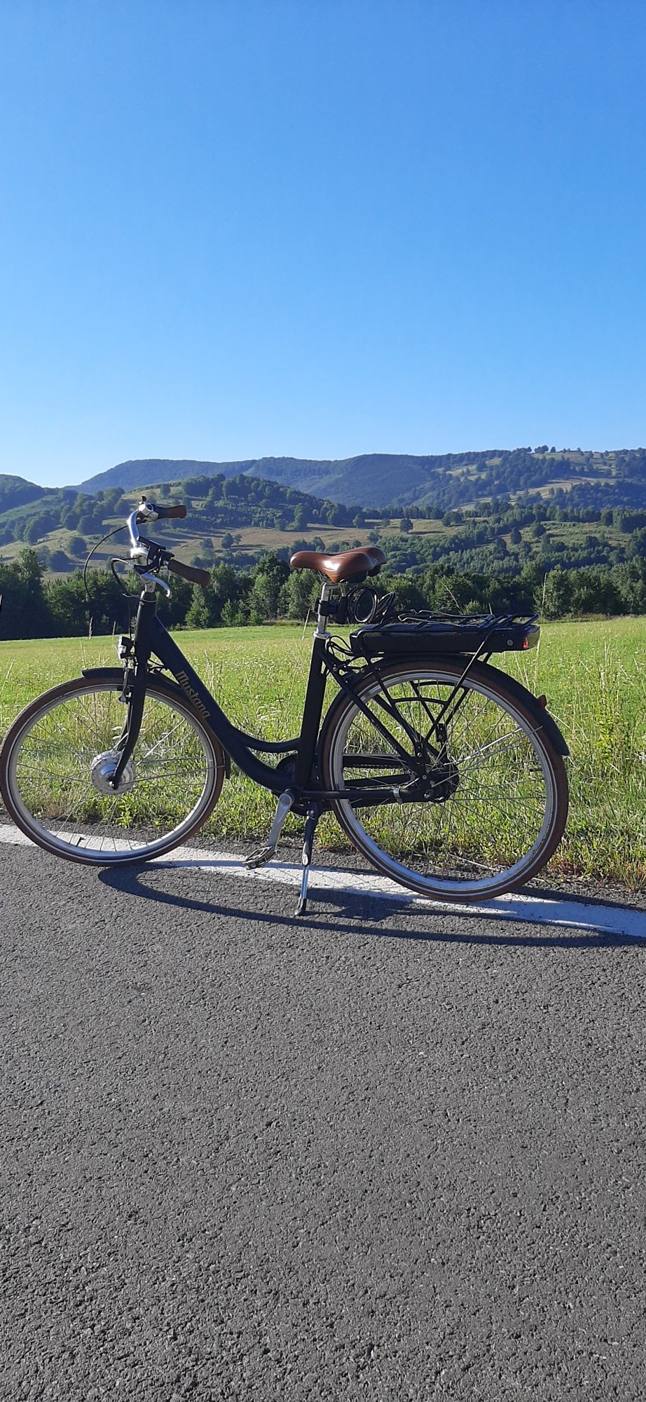 Bicicleta electrica Mustang 2022