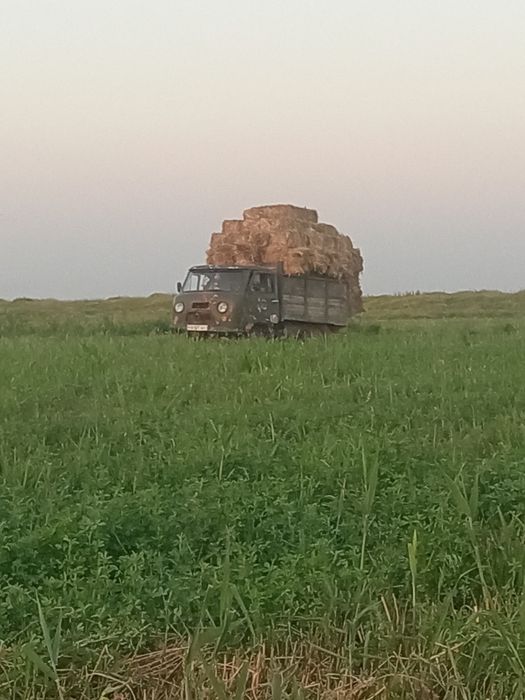 UAZ bortli sotiladi