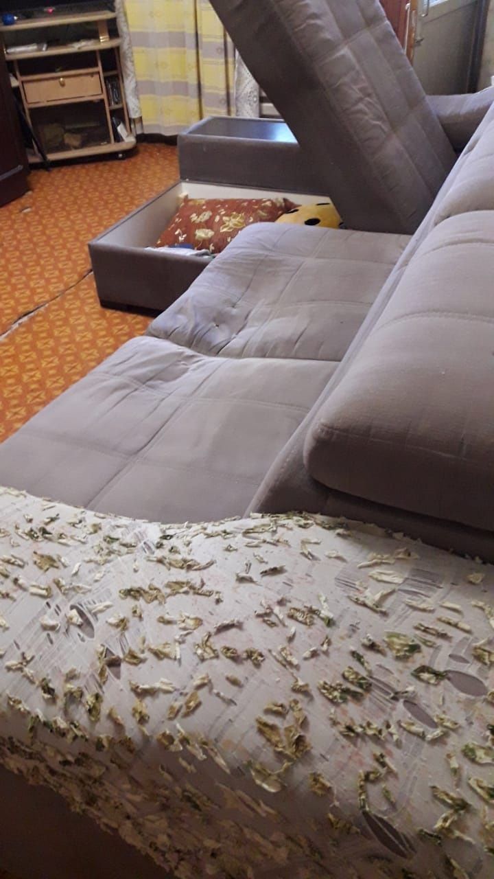 Шкафы кухонные, диван на дрова
