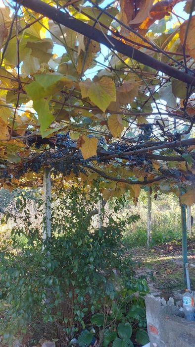 Продава се Къща в Варна, Владислав Варненчик - 70 кв.м за 700 €/кв.м - Снимка #3