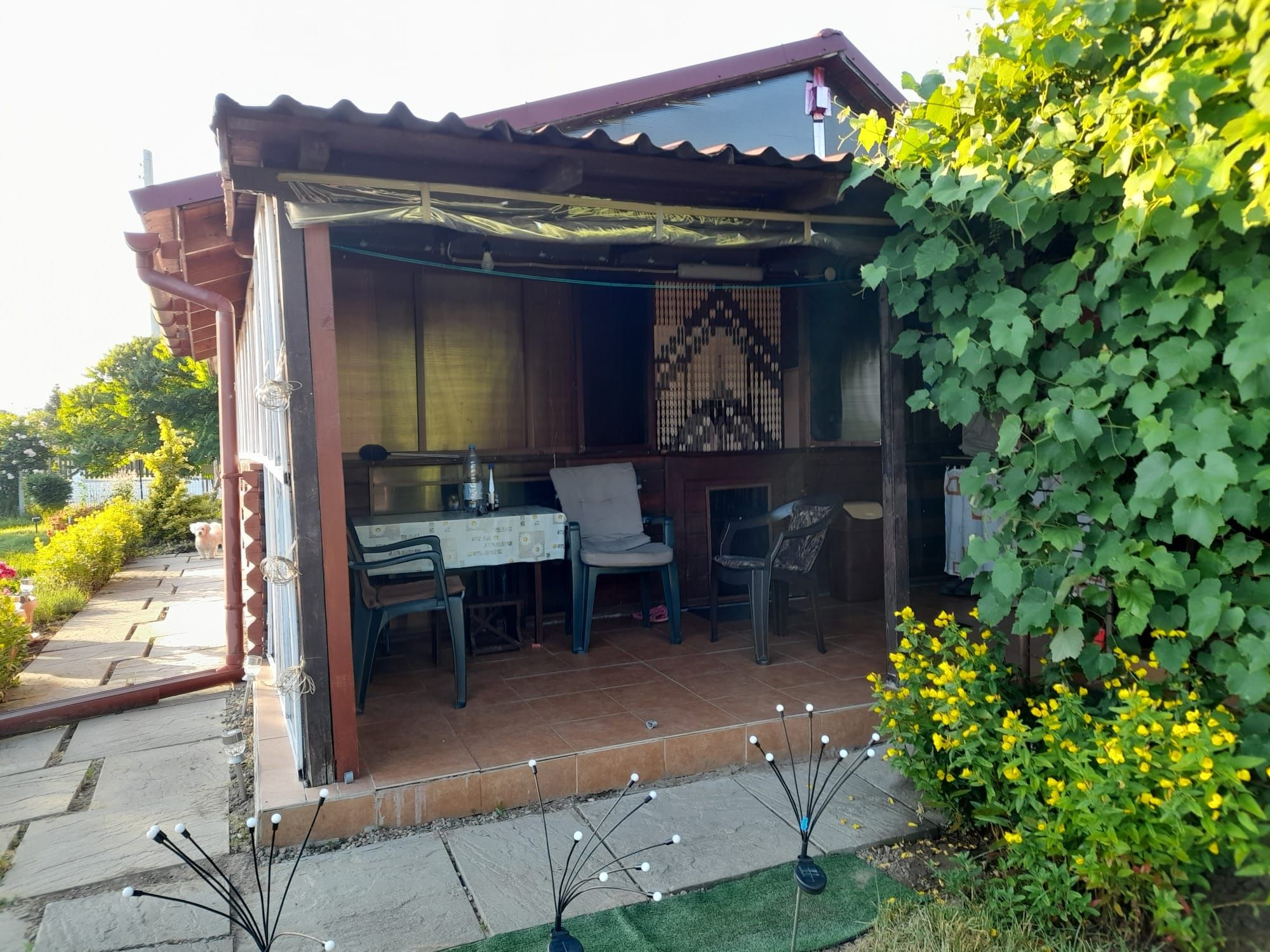 Vand locatie de vacanta (teren+casuta si anexe)
