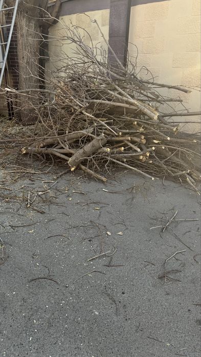 Отдам даром дрова