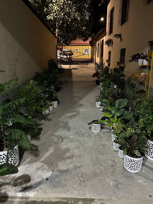 Садовник богбон хона гулларни экиб бериш хизмати