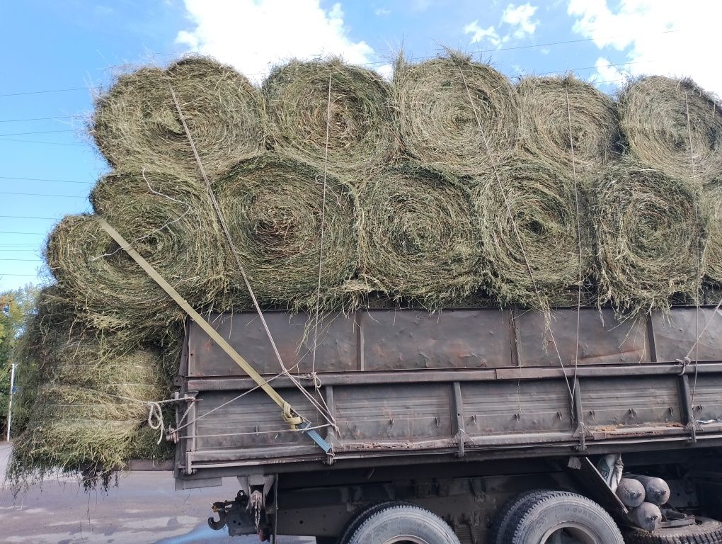 сено люцерна жоношка урлон урлон