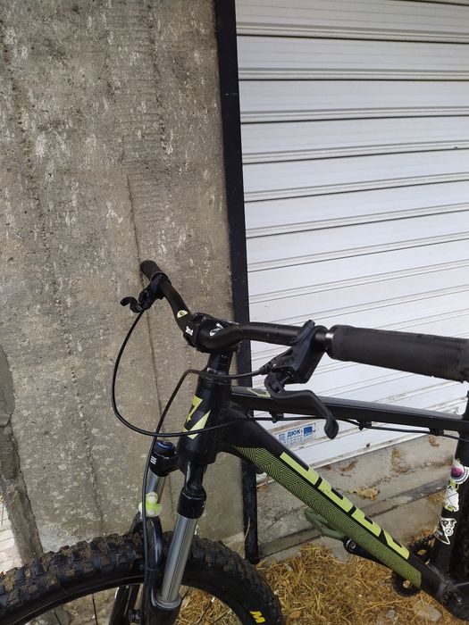 Drag C1 fun 2023 custom