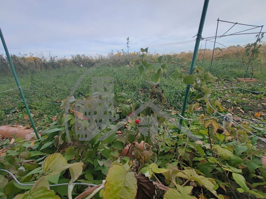Атрактивен имот на 10 мин. от Варна